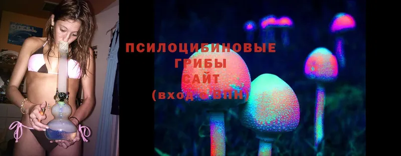 Галлюциногенные грибы MAGIC MUSHROOMS  даркнет сайт  Электроугли 